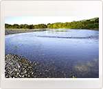 商品写真:クリンナッププレート1