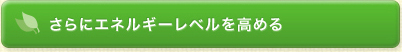 さらにエネルギーレベルを高める